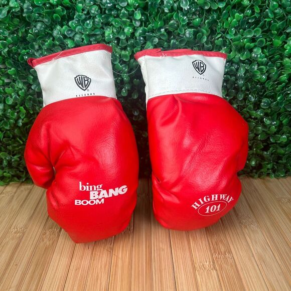 Vintage 1991 Warner Bros Bing Bang Boom Band Highway 101 Mini Boxing Gloves 8" - Picture 2 of 8